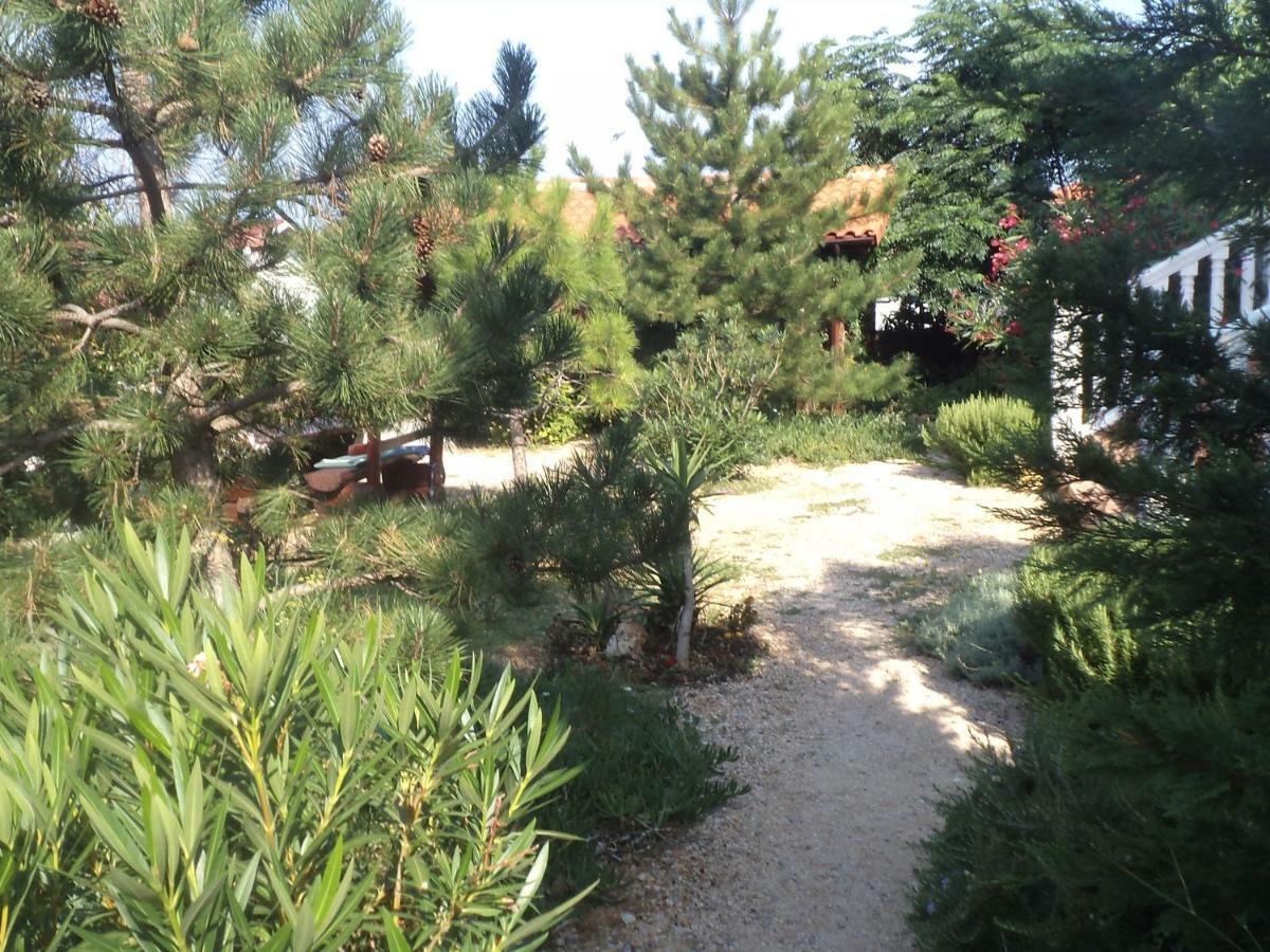 Adriana Rab Town